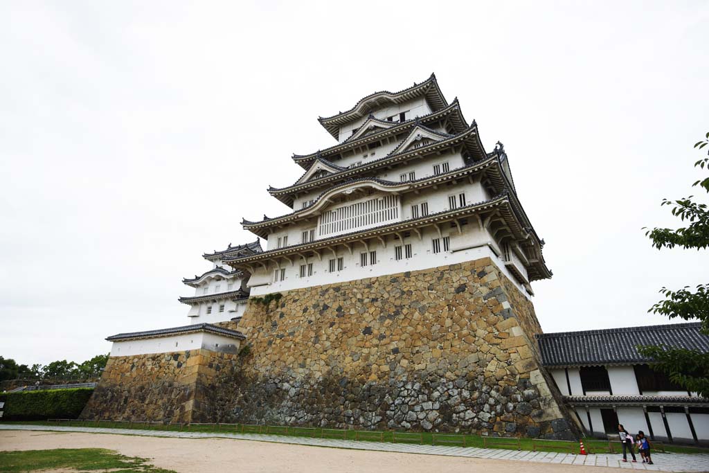 foto,tela,gratis,paisaje,fotografa,idea,Himeji - Castle de jo, Cuatro tesoros nacionales Castle, Sadanori Akamatsu, Shigetaka Kuroda, Hideyoshi Hashiba