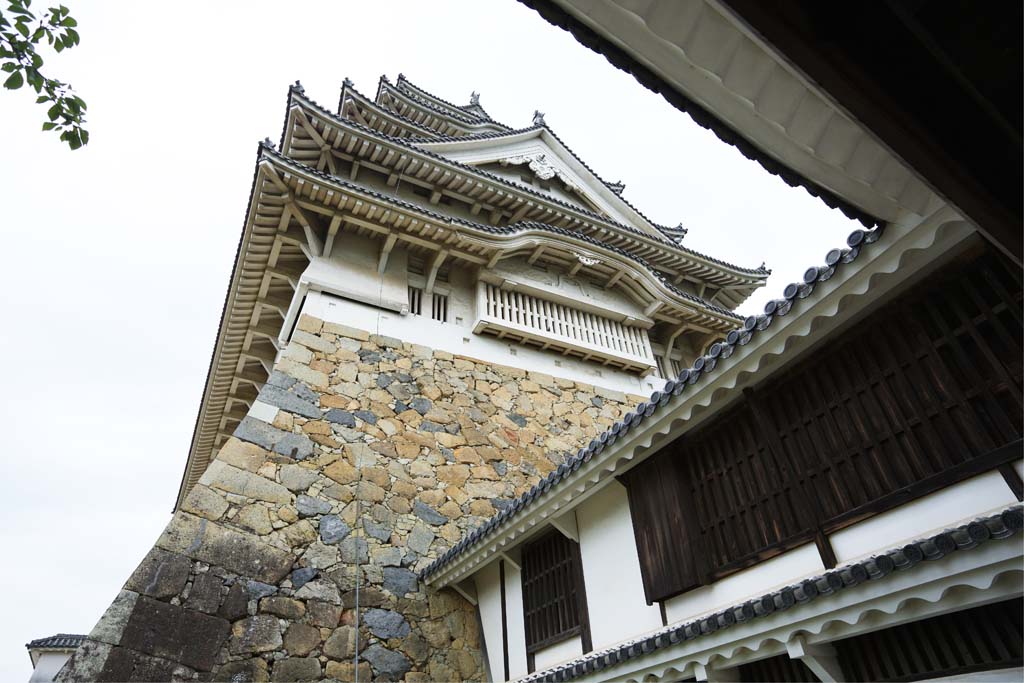 Foto, materiell, befreit, Landschaft, Bild, hat Foto auf Lager,Himeji-jo Burg, Vier nationale Schtze-Burg, Sadanori Akamatsu, Shigetaka Kuroda, Hideyoshi Hashiba