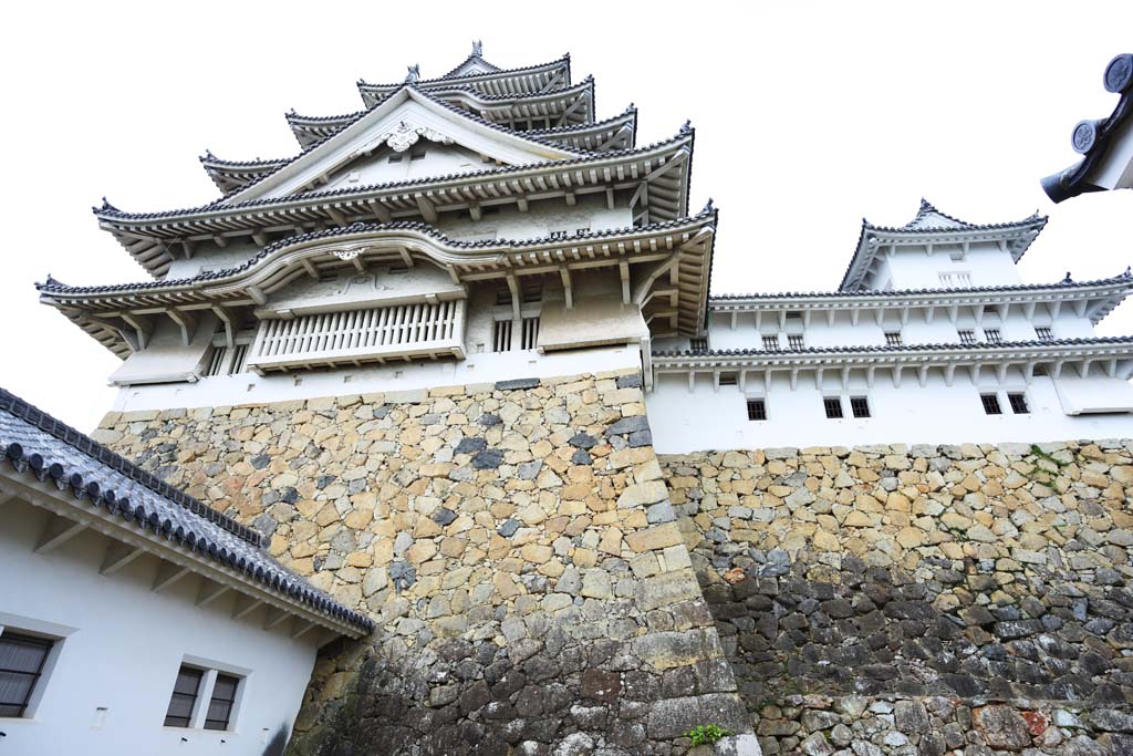 foto,tela,gratis,paisaje,fotografa,idea,Himeji - Castle de jo, Cuatro tesoros nacionales Castle, Sadanori Akamatsu, Shigetaka Kuroda, Hideyoshi Hashiba