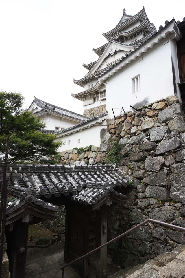 fotografia, materiale, libero il panorama, dipinga, fotografia di scorta,Himeji-jo il Castello, Quattro tesori nazionali Arroccano, Sadanori Akamatsu, Shigetaka Kuroda, Hideyoshi Hashiba