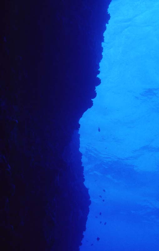 photo,material,free,landscape,picture,stock photo,Creative Commons,Fish of a cliff, rock, blue, , 