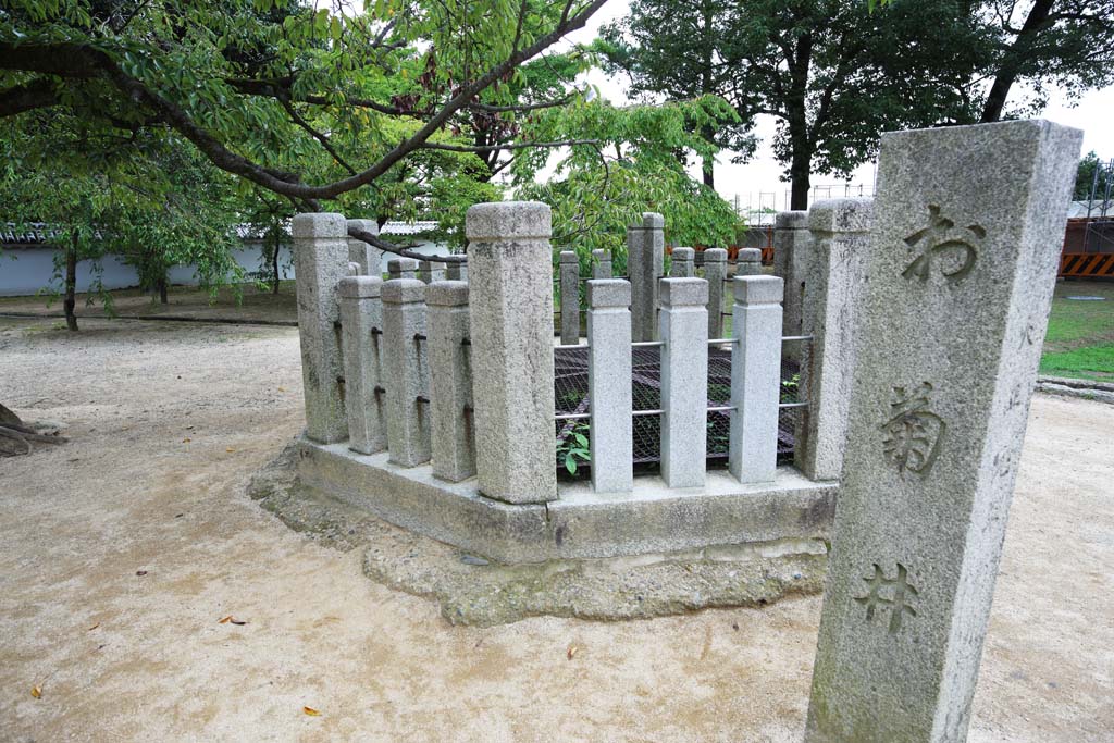 Foto, materieel, vrij, landschap, schilderstuk, bevoorraden foto,Himeji-jo Castle Kiku inktkoker, Vier nationale schatten Kasteel, , , Een ongenoegzame schotel