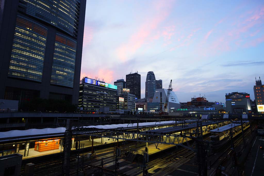 fotografia, material, livra, ajardine, imagine, proveja fotografia,O crepsculo de Estao de Shinjuku, via frrea, Shinjuku, edifcio de edifcio alto, cidade