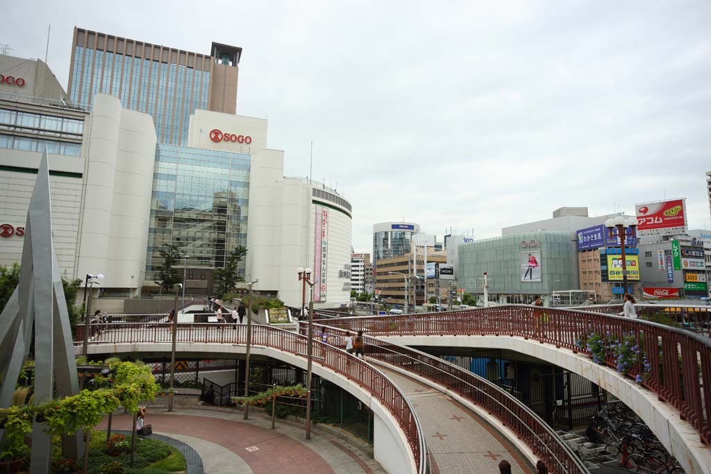 Foto, materieel, vrij, landschap, schilderstuk, bevoorraden foto,De Sannomiya halte plein, Sannomiya, Grootwinkelbedrijf, Benedenstad, Kansai