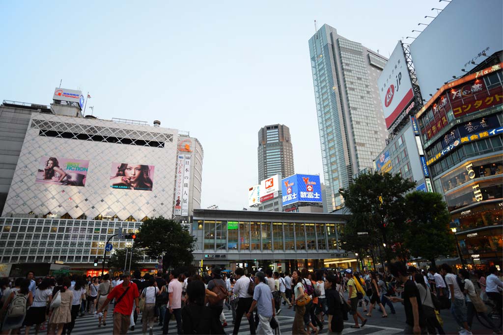 photo,material,free,landscape,picture,stock photo,Creative Commons,The crossing of Shibuya Station, Downtown, walker, pedestrian crossing, crowd