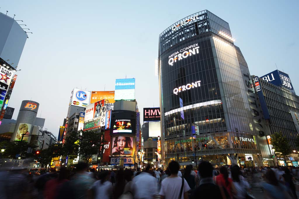 fotografia, material, livra, ajardine, imagine, proveja fotografia,O cruzamento de Estao de Shibuya, O centro da cidade, passeador, passagem para pedestres, multido
