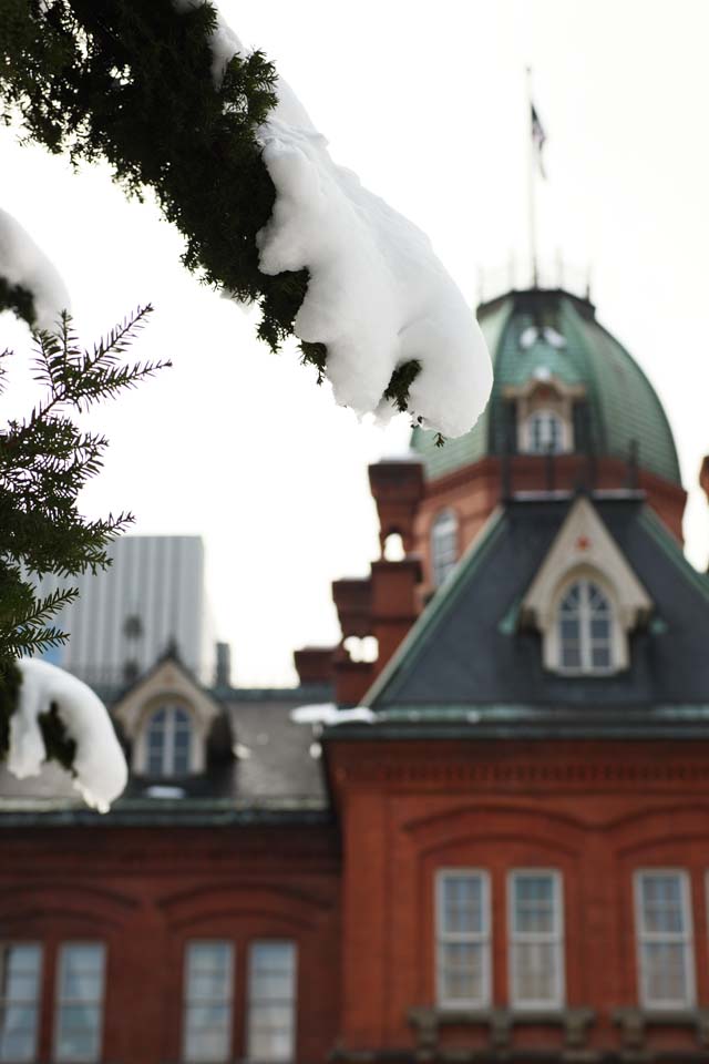 foto,tela,gratis,paisaje,fotografa,idea,Nieve y organismo de Hokkaido, La nieve, La escarcha sobre rboles, El rbol del abeto, Hokkaido