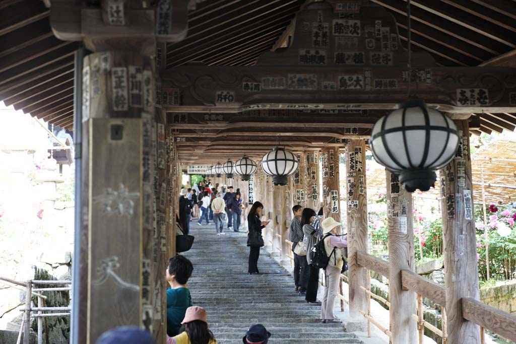 photo, la matire, libre, amnage, dcrivez, photo de la rserve,L'en haut de couloir de Temple Hase-dera, couloir, Escalier, adorateur, Mitera de la fleur