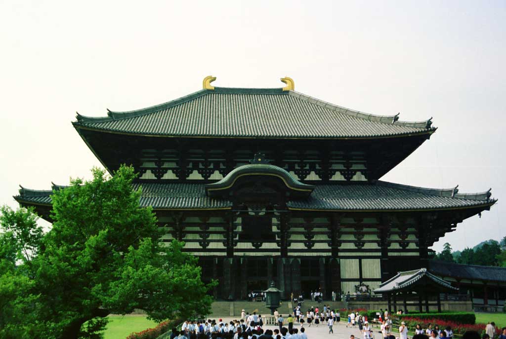 photo,material,free,landscape,picture,stock photo,Creative Commons,Colossal Hall of the Great Buddha, temple, , , 