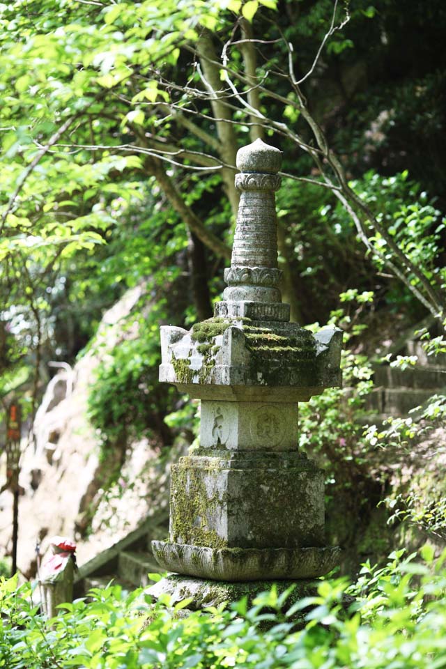 Foto, materiell, befreit, Landschaft, Bild, hat Foto auf Lager,Der Turm fr die Ruhe der Seelen von Hase-dera Temple, Turm fr die Ruhe der Seelen, Moos, Chaitya, Mitera der Blume