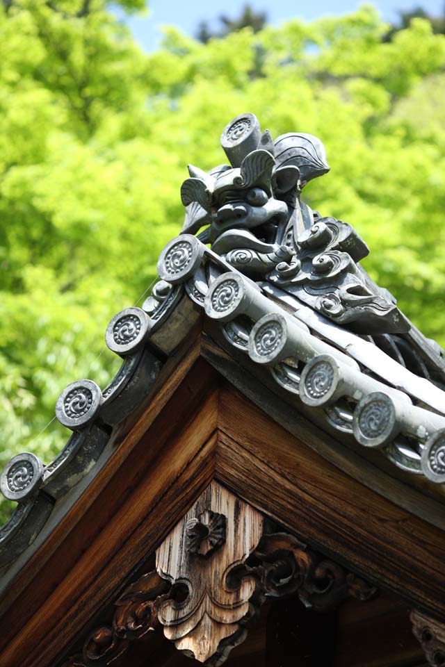 fotografia, materiale, libero il panorama, dipinga, fotografia di scorta,La tegola di cresta-fine di Tempio di Hase-dera, tegola, Merce relativo alla ceramica, Chaitya, Mitera del fiore