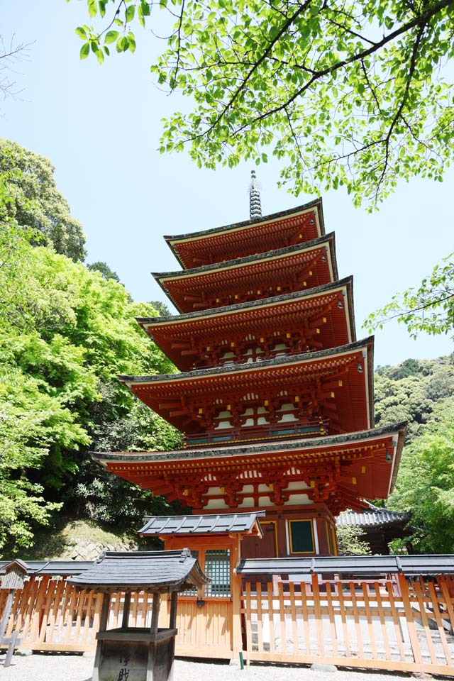 photo, la matire, libre, amnage, dcrivez, photo de la rserve,Cinq pagode Storeyed de temple Hase-dera, Je suis peint en rouge, btiment en bois, Chaitya, Mitera de la fleur