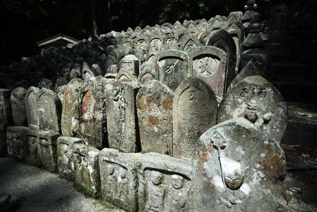 Foto, materiell, befreit, Landschaft, Bild, hat Foto auf Lager,Ishibotoke des Hase-dera-Tempels, Gedenkdienst, Ishibotoke, Chaitya, Mitera der Blume