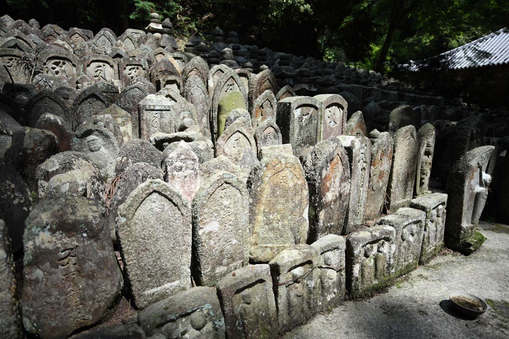 Foto, materiell, befreit, Landschaft, Bild, hat Foto auf Lager,Ishibotoke des Hase-dera-Tempels, Gedenkdienst, Ishibotoke, Chaitya, Mitera der Blume