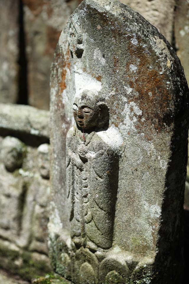 fotografia, material, livra, ajardine, imagine, proveja fotografia,Ishibotoke de templo de Hase-dera, servio comemorativo, Ishibotoke, Chaitya, Mitera da flor