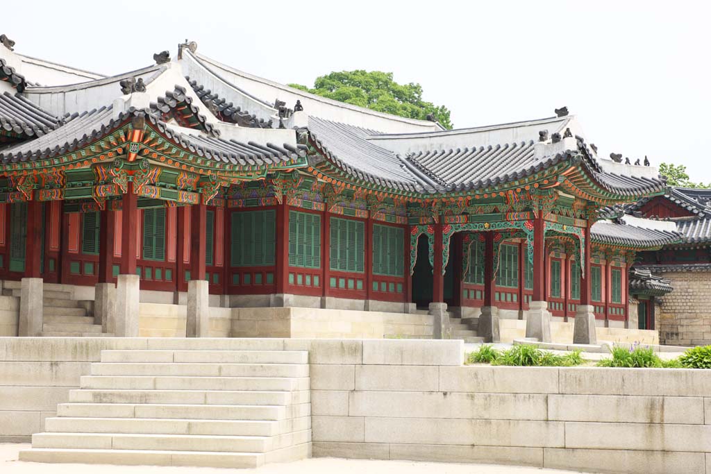 photo,material,free,landscape,picture,stock photo,Creative Commons,Nobumasa, The Imperial Court architecture, I am painted in red, Nobumasa, world heritage