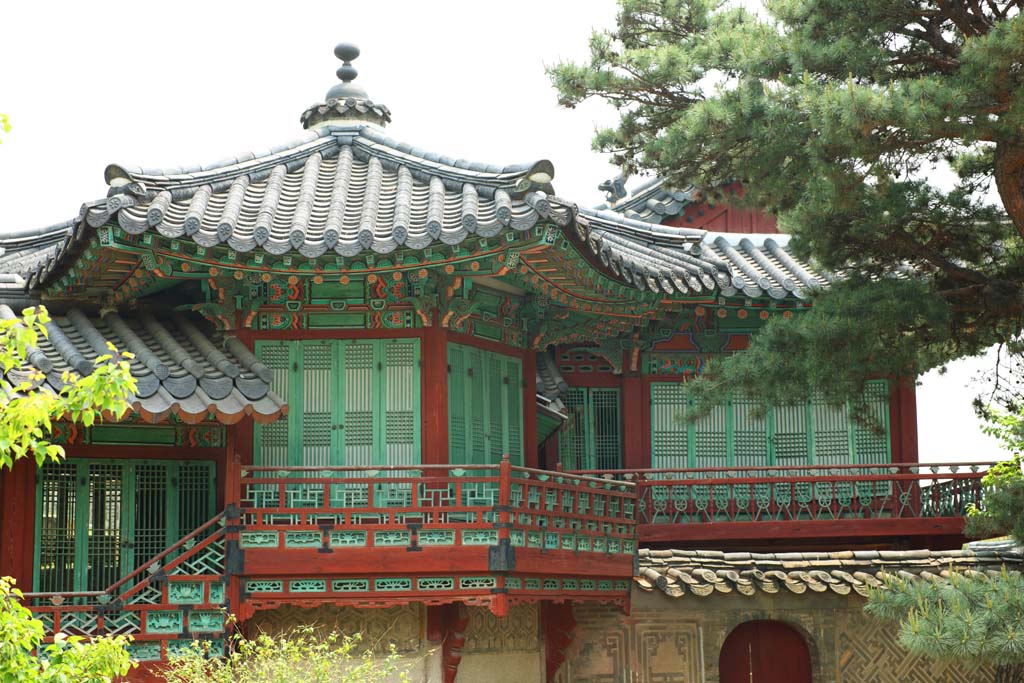 fotografia, materiale, libero il panorama, dipinga, fotografia di scorta,L'edificio del sacrario di Akitoku, La Corte Imperiale l'architettura, tegola, Reja, eredit di mondo