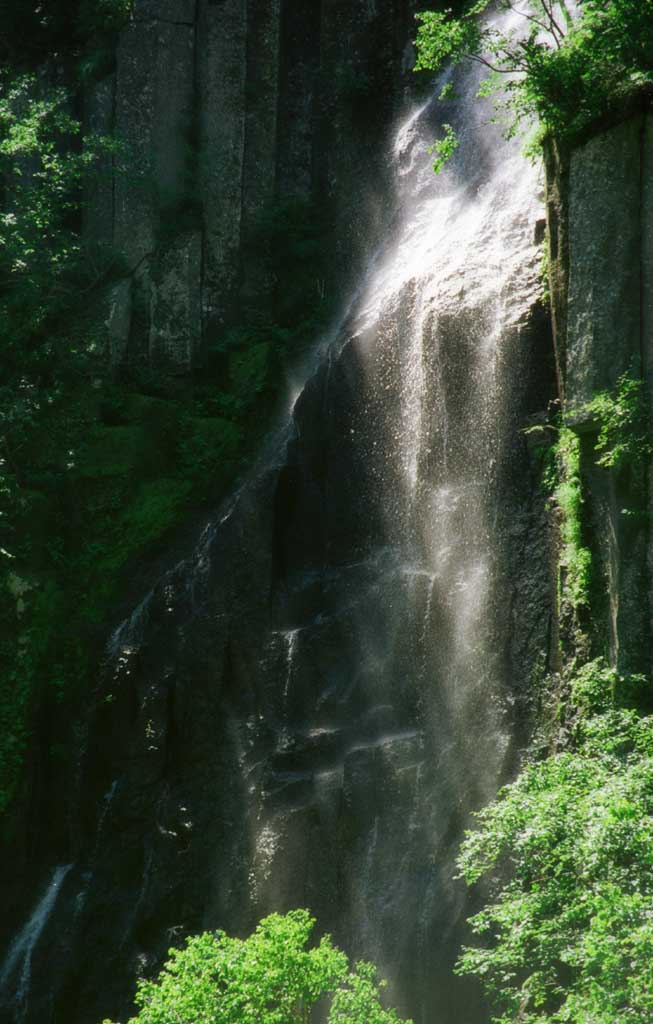 photo,material,free,landscape,picture,stock photo,Creative Commons,Spraying falls, water, field, green, 