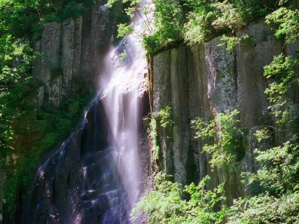 photo,material,free,landscape,picture,stock photo,Creative Commons,Falls with smell of water, water, field, green, 