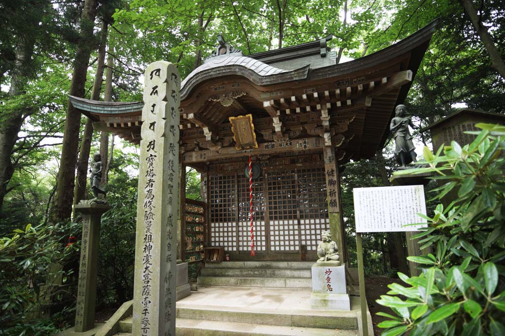 Foto, materiell, befreit, Landschaft, Bild, hat Foto auf Lager,Ein wunderbarer nderungstempel von Mt. Takao, Gutes Spaziergngergebet, seltsamer Kindermenschenfresser, Giyoja Enno, Tempel