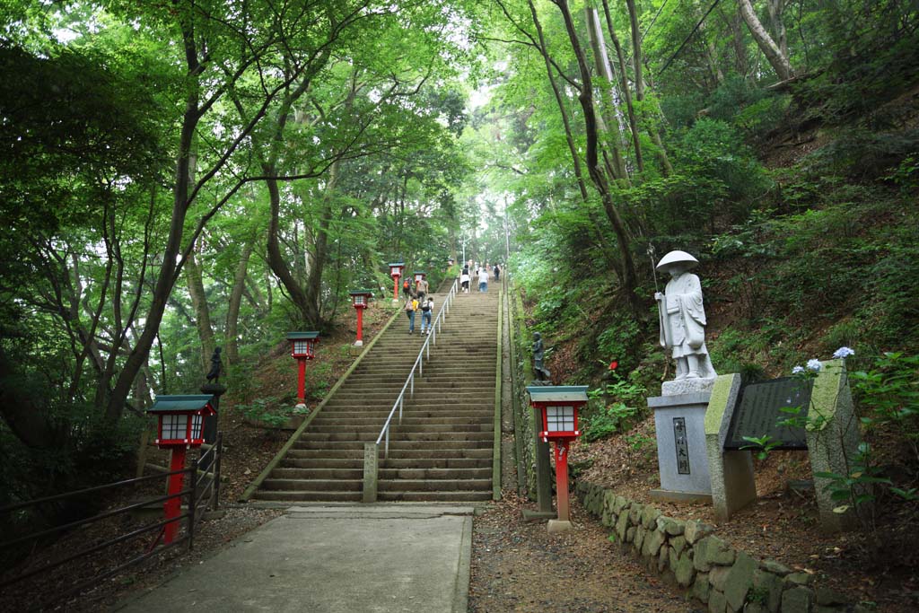 Foto, materiell, befreit, Landschaft, Bild, hat Foto auf Lager,Ein Gebirgspfad von Mt. Takao, Die asketischen Praktiken Groer Lehrer, Bergsteigen, Wandern, Wald