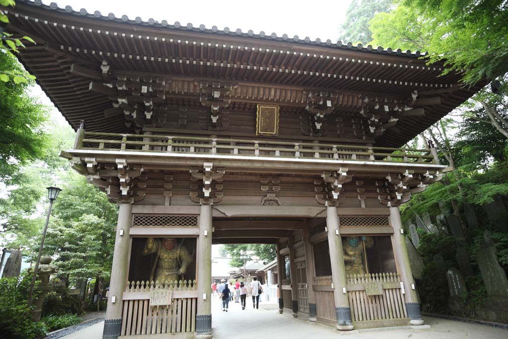 photo,material,free,landscape,picture,stock photo,Creative Commons,The king Four Devas gate of the Takao dried yam medicine emperor, Mikado, Chaitya, mountaineering ascetic, Buddhist monk