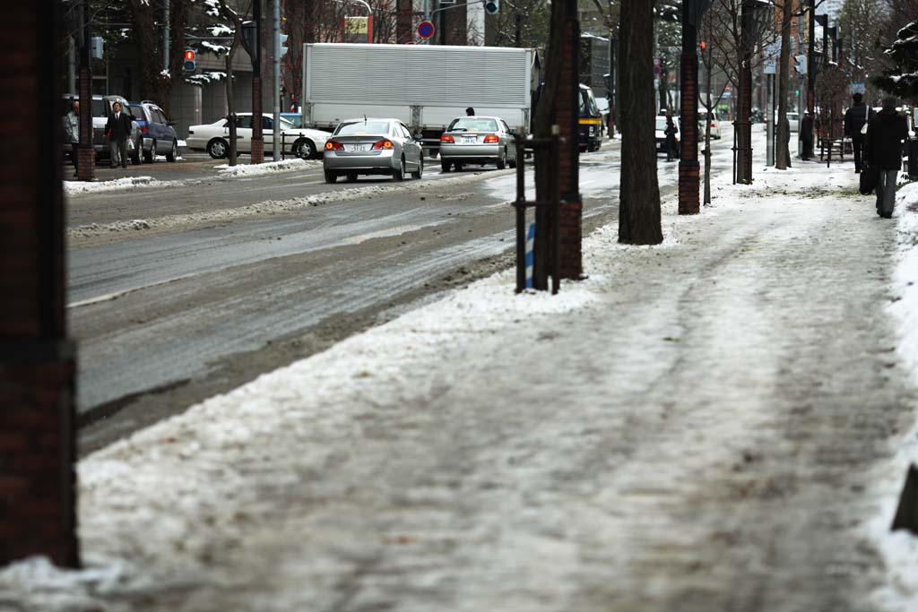 fotografia, materiale, libero il panorama, dipinga, fotografia di scorta,Secondo Sapporo, albero della strada, strada pavimentata, macchina, Il neve rimuovere