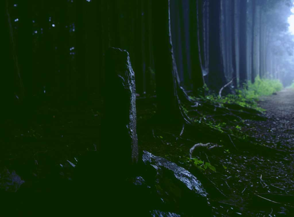 Foto, materiell, befreit, Landschaft, Bild, hat Foto auf Lager,Steinigen Sie Monument, steinigen Sie Monument, Nebel, Hain, 