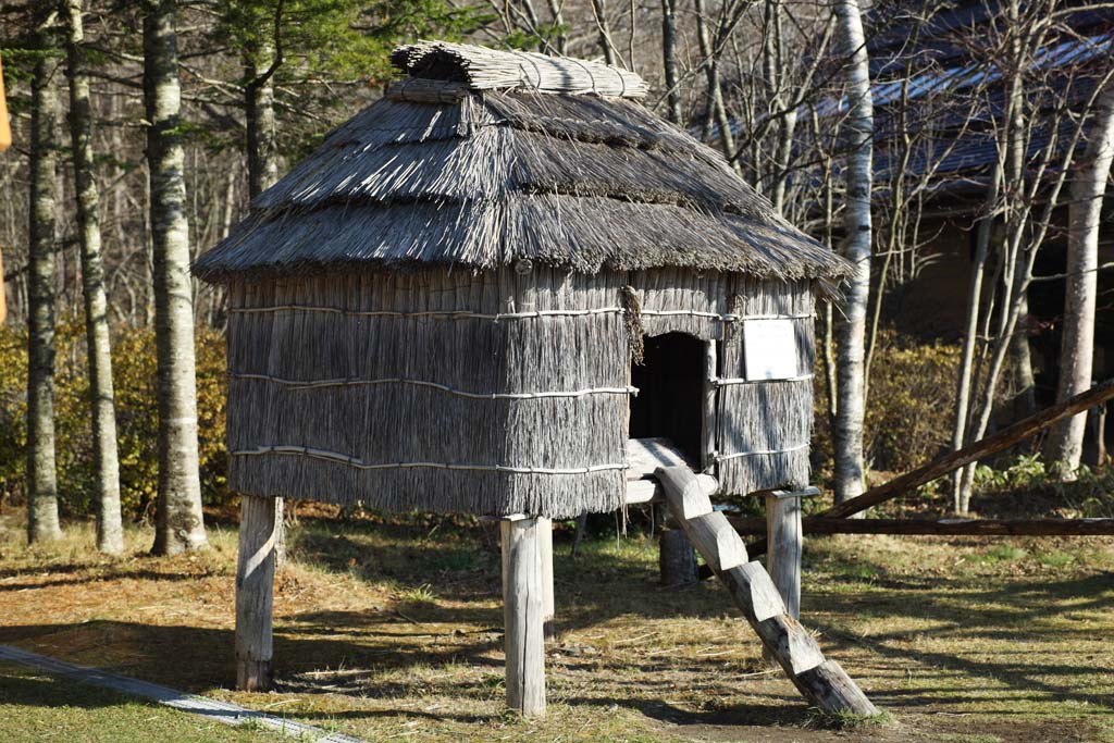 Foto, materiell, befreit, Landschaft, Bild, hat Foto auf Lager,Die Lagerung des Essens von Ainu, Ainu, Traditionsarchitektur, Dachstroh, Die Lagerung der Bewahrung