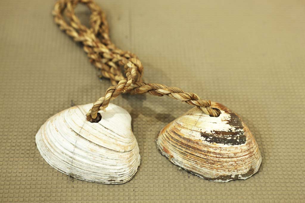 photo,material,free,landscape,picture,stock photo,Creative Commons,The toy of the shellfish, toy, folkcraft, shell, child