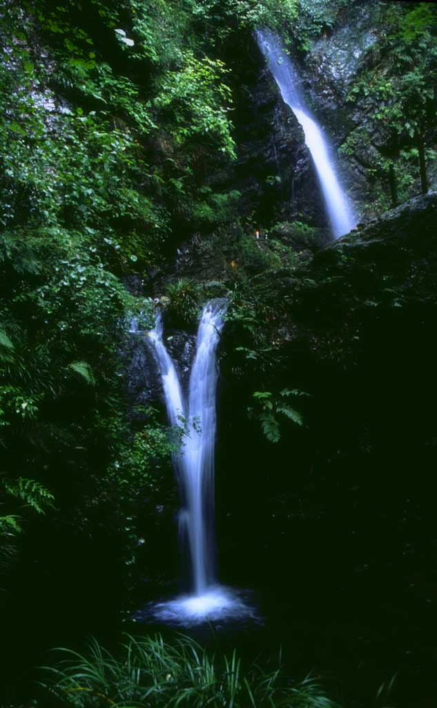 fotografia, materiale, libero il panorama, dipinga, fotografia di scorta,Kuroyama tre cascate, acqua, cascata, , 