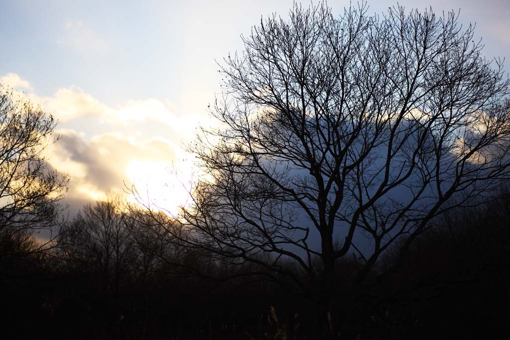 Foto, materieel, vrij, landschap, schilderstuk, bevoorraden foto,De bedaardheid van de Lake Uto Ney, Aftakking, Vochtigheid vlakte, Bedaardheid, Nightfall