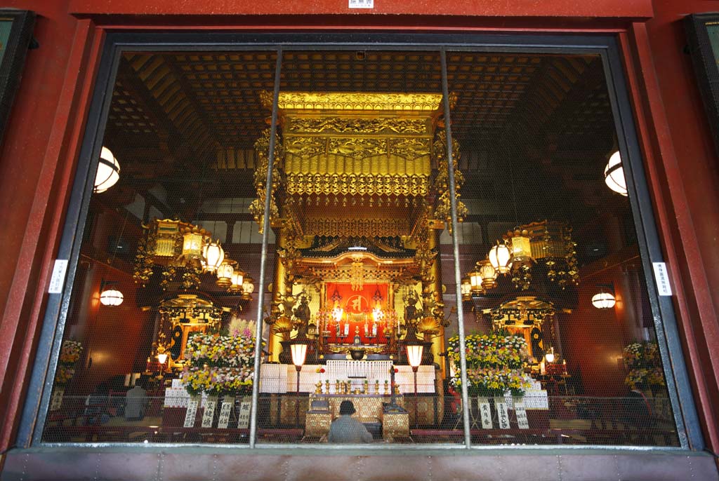 fotografia, material, livra, ajardine, imagine, proveja fotografia,Senso-ji templo palcio, visitando lugares tursticos mancha, Templo de Senso-ji, Asakusa, lanterna