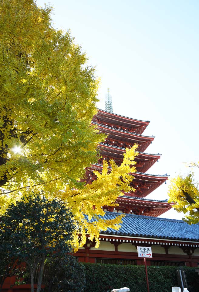 fotografia, material, livra, ajardine, imagine, proveja fotografia,Templo de Senso-ji cinco pagode de Storeyed, Chaitya, Templo de Senso-ji, Asakusa, Eu sou pintado em vermelho