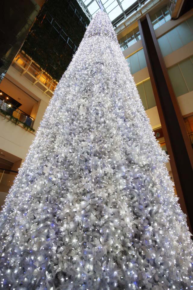 foto,tela,gratis,paisaje,fotografa,idea,Rayo de la Navidad, LED, X 'mas, Color azul, El final del ao