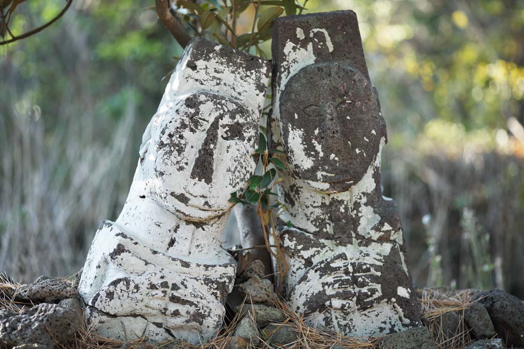 fotografia, material, livra, ajardine, imagine, proveja fotografia,A esttua de pedra do par, O homem e mulher, amigo bom, apedreje esttua, Um ornamento