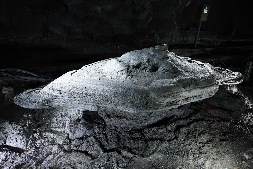 fotografia, material, livra, ajardine, imagine, proveja fotografia,A tartaruga manchada da superabundncia de caverna de vigor, Manjang gul Caverna, Geomunoreum lava tubo sistema, ilha vulcnica, poro