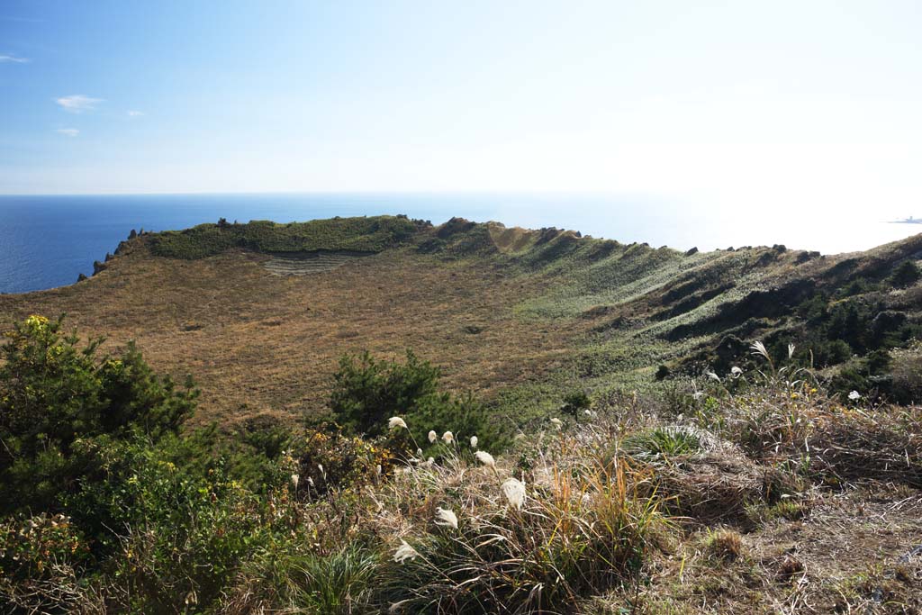 fotografia, material, livra, ajardine, imagine, proveja fotografia,A cratera do Shiroyama Hiji cume, ilchulbong de seongsan, Cliff, ilha vulcnica, mancha de beleza