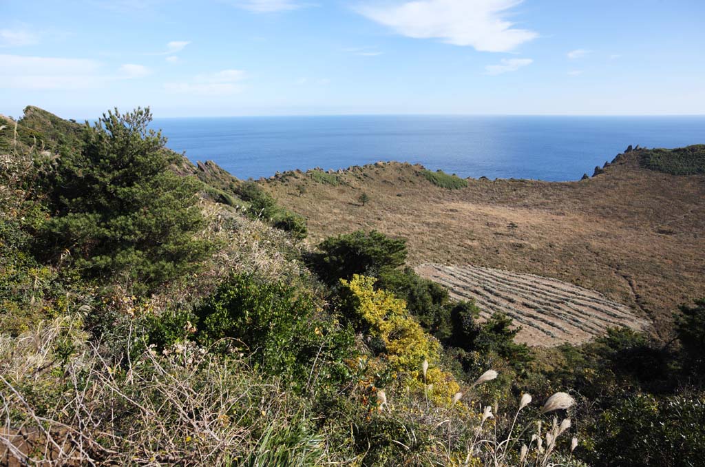 Foto, materiell, befreit, Landschaft, Bild, hat Foto auf Lager,Der Krater des Shiroyama Hiji-Hhepunktes, seongsan ilchulbong, Cliff, vulkanische Insel, Schnheitsstelle