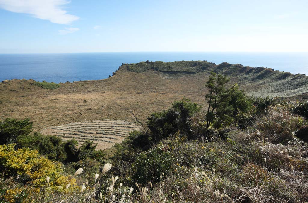 fotografia, materiale, libero il panorama, dipinga, fotografia di scorta,Il cratere dello Shiroyama Hiji la vetta, ilchulbong di seongsan, Cliff, isola vulcanica, macchia di bellezza