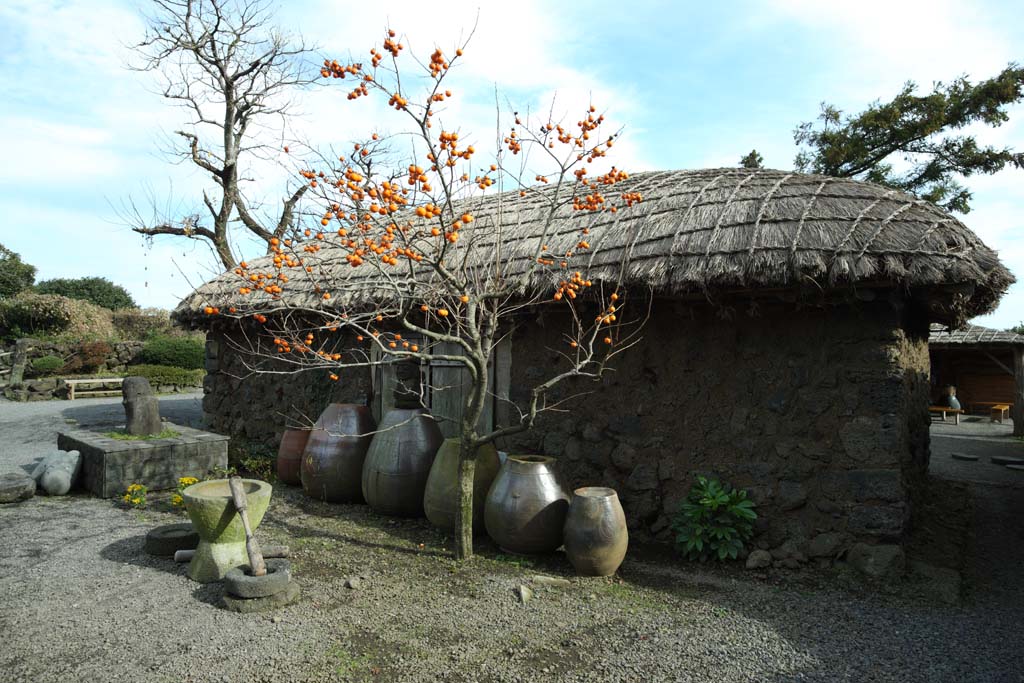 foto,tela,gratis,paisaje,fotografa,idea,Pueblo pueblo folklrico de castillo, Vida, Competencia, Arquitectura de tradicin, Cultura