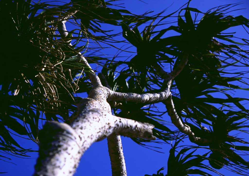 fotografia, materiale, libero il panorama, dipinga, fotografia di scorta,Manzamo, cielo blu, , , 