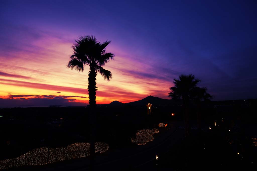 photo,material,free,landscape,picture,stock photo,Creative Commons,Dusk of the zhongwen, Leisure, Illumination, Dusk, palm