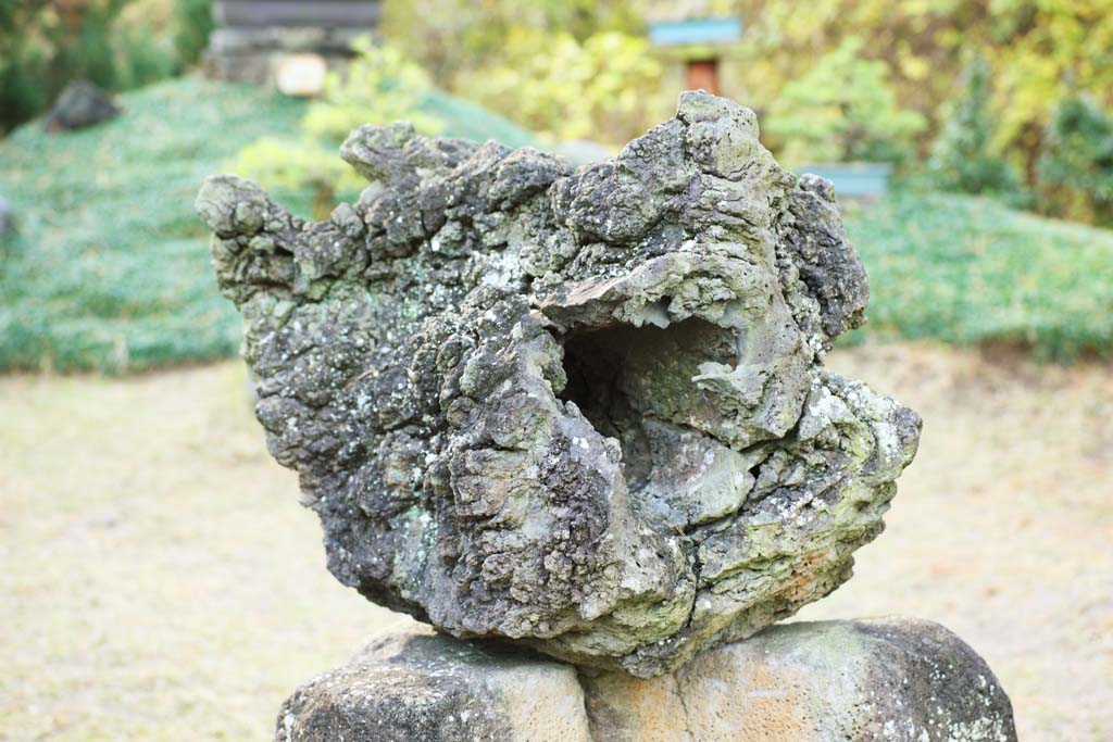 fotografia, materiale, libero il panorama, dipinga, fotografia di scorta,Una pietra del lavico, pietra orto, buco, Facendo del giardinaggio, Un ornamento