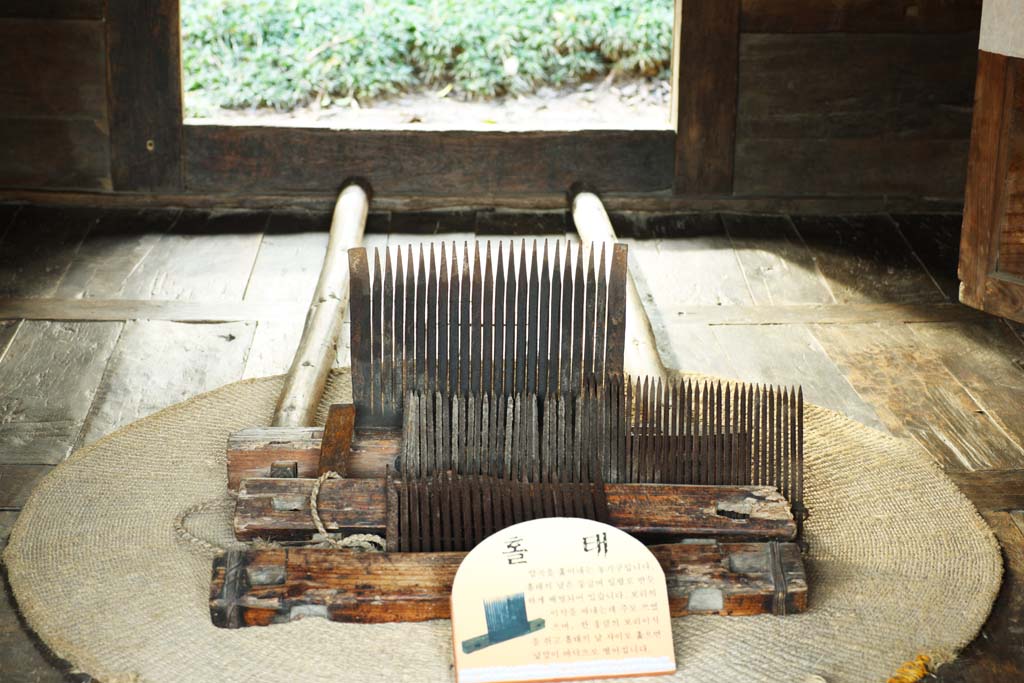 Foto, materiell, befreit, Landschaft, Bild, hat Foto auf Lager,Koreanischer SENBAKOKI, Landwirtschaft, Ernte, Das Getreide, Traditionelle Kultur