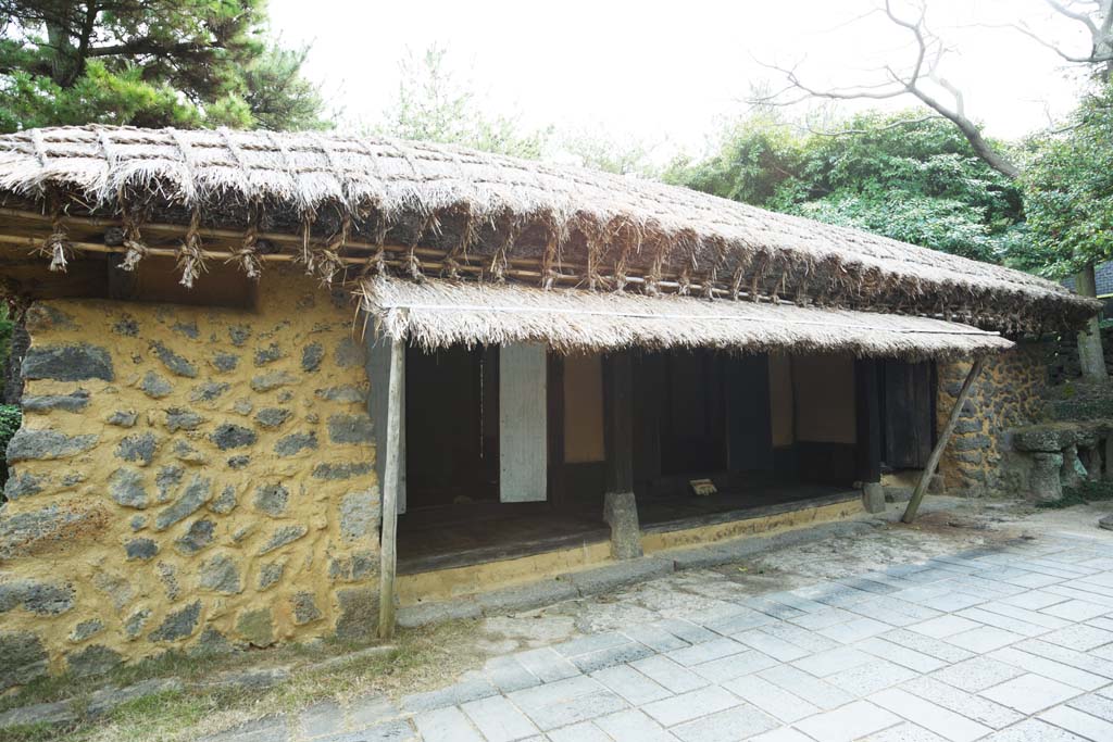 Foto, materieel, vrij, landschap, schilderstuk, bevoorraden foto,Een Koreaanse traditie particulier huis, Huis, Deur, Particulier huis, Traditionele cultuur