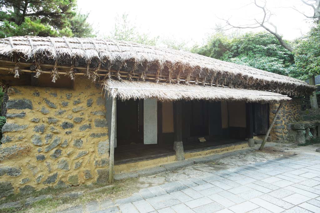 photo,material,free,landscape,picture,stock photo,Creative Commons,A Korean tradition private house, house, door, private house, Traditional culture