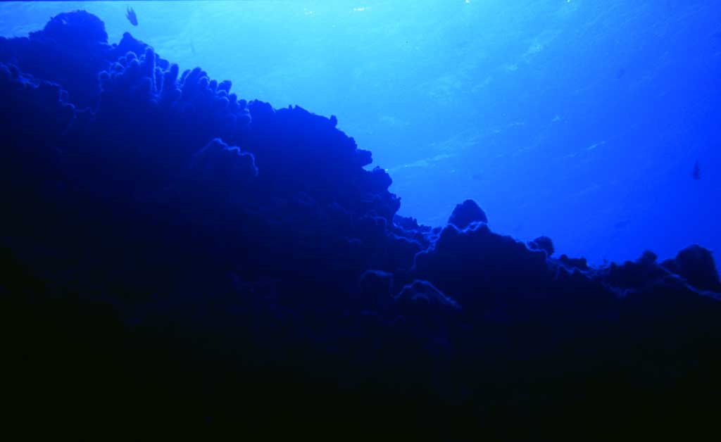 Foto, materiell, befreit, Landschaft, Bild, hat Foto auf Lager,Meer toter Koralle, blau, Meer, , 