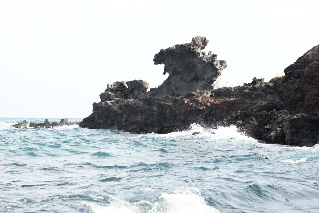 photo,material,free,landscape,picture,stock photo,Creative Commons,Dragon Head Rock (Yongduam), Dragon Head Rock , Yongduam, rocky, shore