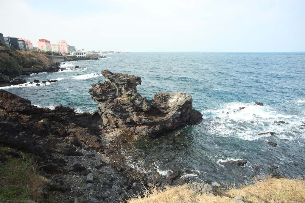 foto,tela,gratis,paisaje,fotografa,idea,Roca de cabeza de dragn (Yongduam), Roca de cabeza de dragn, Yongduam, Rocoso, Orilla